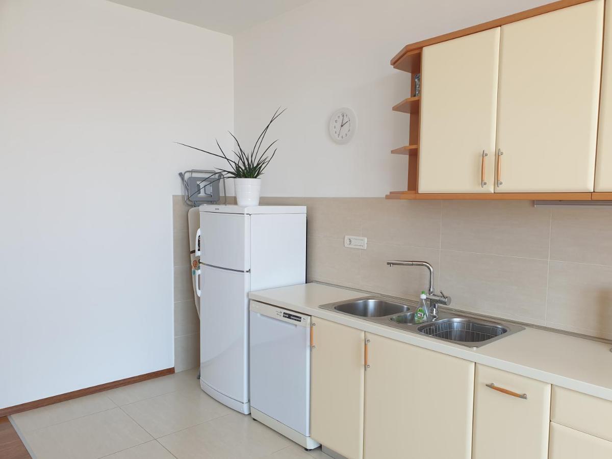 杜布罗夫尼克Abelia, Two Terraces, Hot Tub, Free Parking公寓 外观 照片
