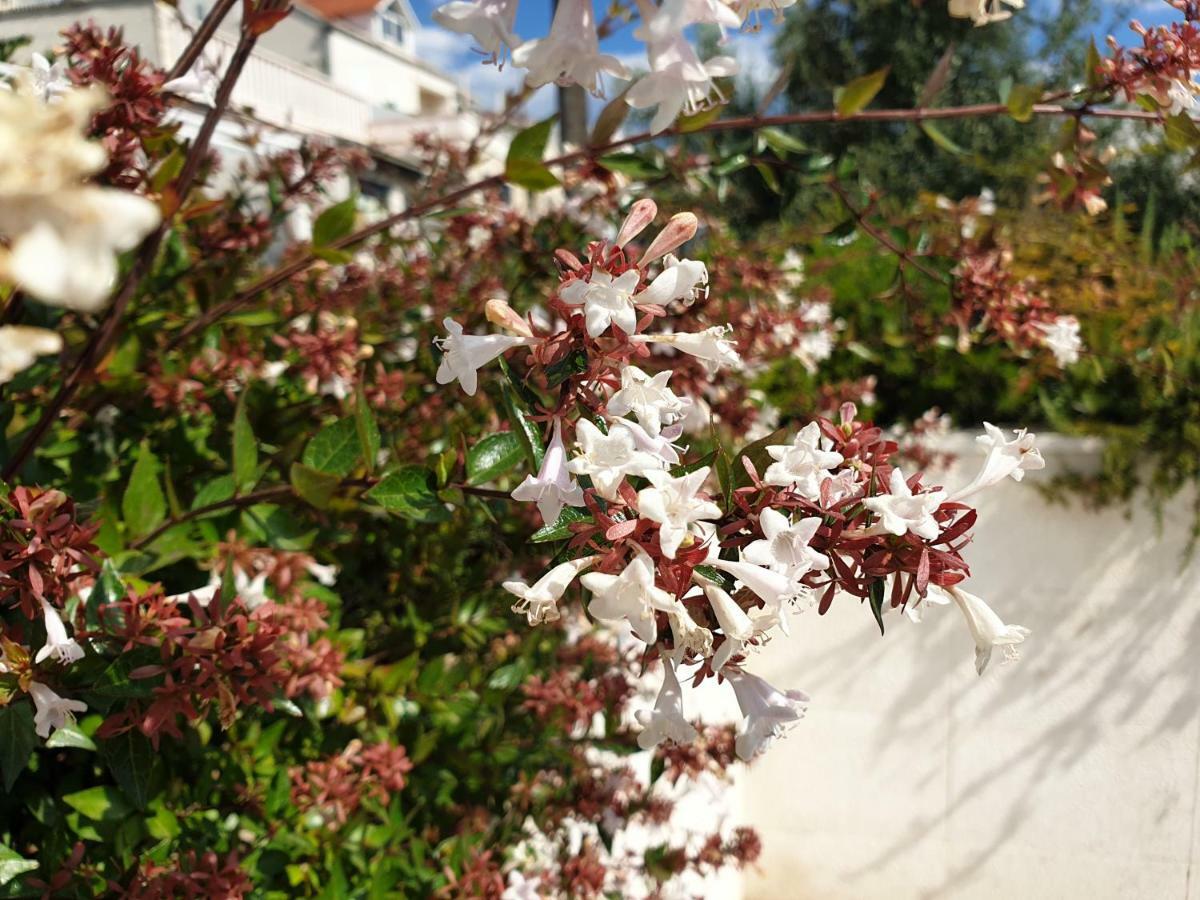杜布罗夫尼克Abelia, Two Terraces, Hot Tub, Free Parking公寓 外观 照片