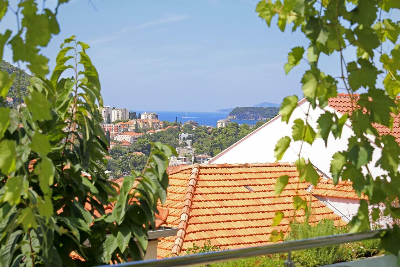 杜布罗夫尼克Abelia, Two Terraces, Hot Tub, Free Parking公寓 外观 照片